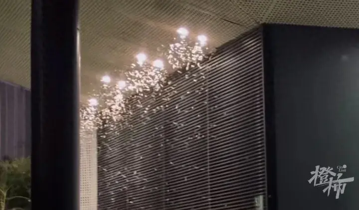 灭白蚁农药_灭白蚁专用药_灭专用药白蚁怎么办