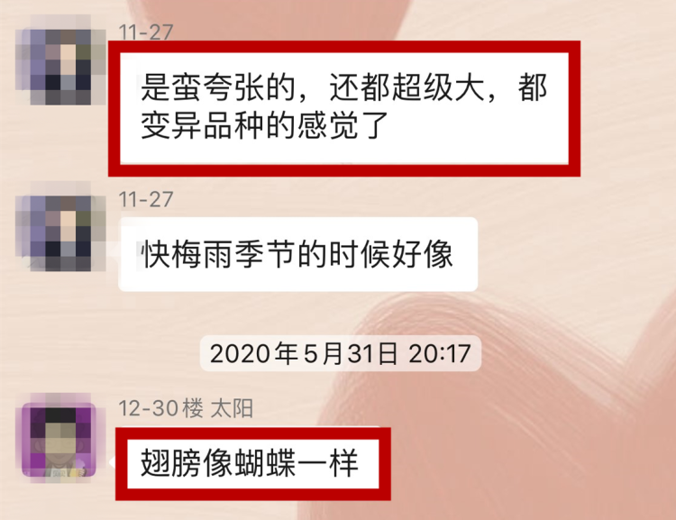 灭白蚁_灭白蚁有毒吗_灭白蚁部门