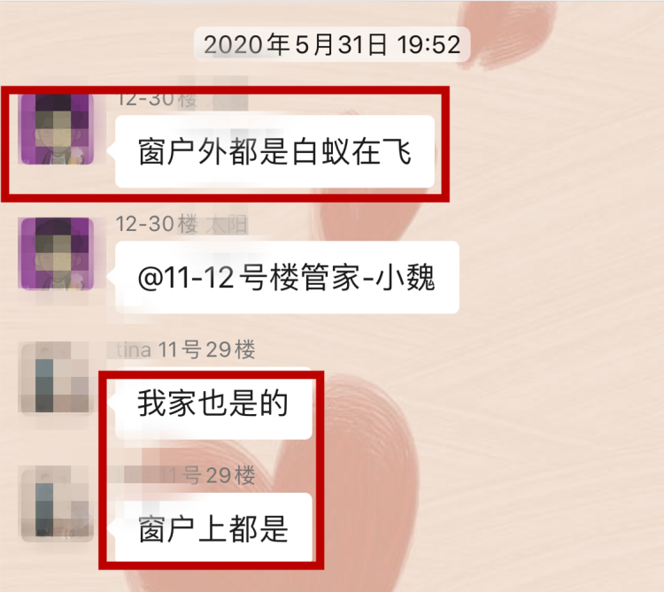 灭白蚁有毒吗_灭白蚁_灭白蚁部门