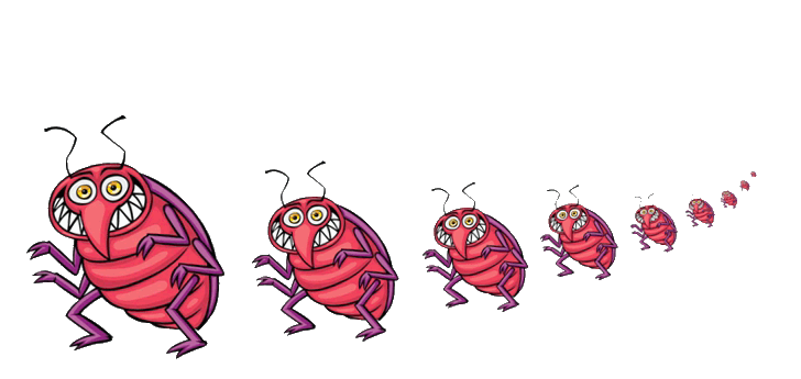 灭臭虫方法_怎么灭臭虫最快最有效_灭臭虫用什么药