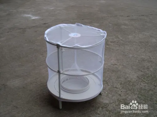 夏天家里苍蝇太多怎么办(除苍蝇的方法)