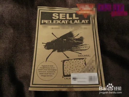 夏天家里苍蝇太多怎么办(除苍蝇的方法)