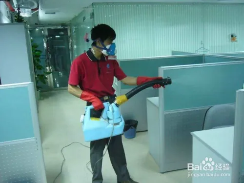 夏天家里苍蝇太多怎么办(除苍蝇的方法)