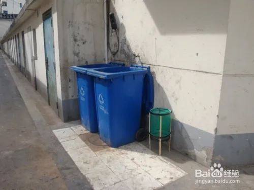 夏天家里苍蝇太多怎么办(除苍蝇的方法)