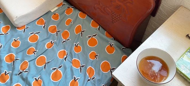 灭苍蝇器哪个好_灭苍蝇器家用_怎么灭苍蝇