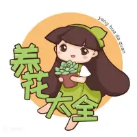 自制作杀虫水_自制杀虫水治蔬菜_10种自制杀虫水