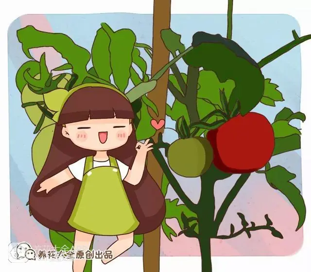 自制作杀虫水_自制杀虫水治蔬菜_10种自制杀虫水