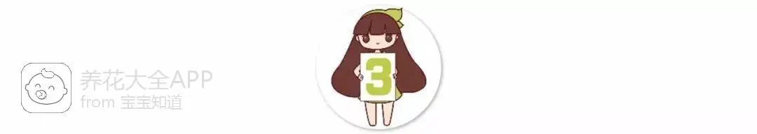 10种自制杀虫水_自制杀虫水治蔬菜_自制作杀虫水