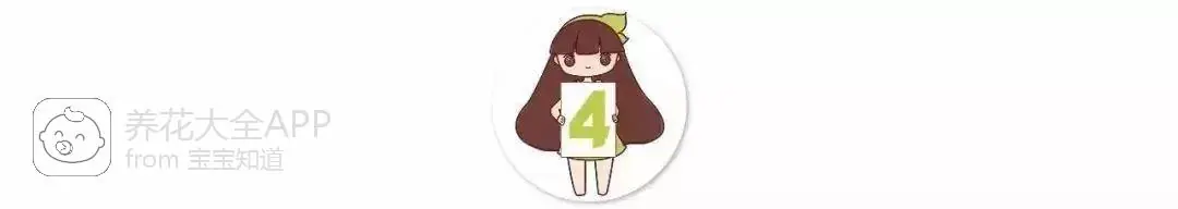 自制杀虫水治蔬菜_10种自制杀虫水_自制作杀虫水