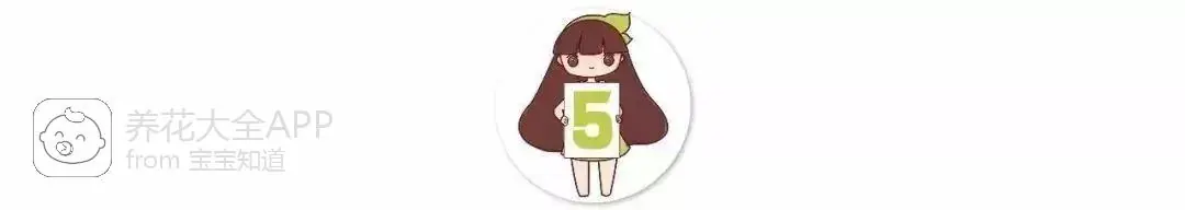 自制杀虫水治蔬菜_10种自制杀虫水_自制作杀虫水