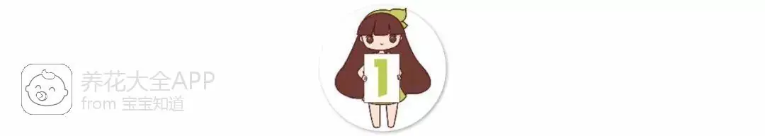 10种自制杀虫水_自制杀虫水治蔬菜_自制作杀虫水