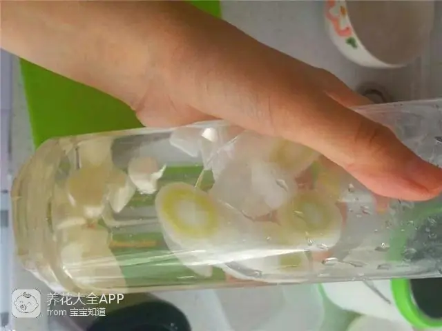 10种自制杀虫水_自制作杀虫水_自制杀虫水治蔬菜