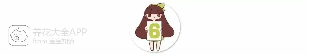 自制杀虫水治蔬菜_10种自制杀虫水_自制作杀虫水