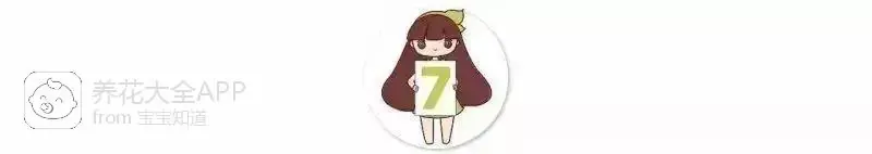 自制杀虫水治蔬菜_10种自制杀虫水_自制作杀虫水