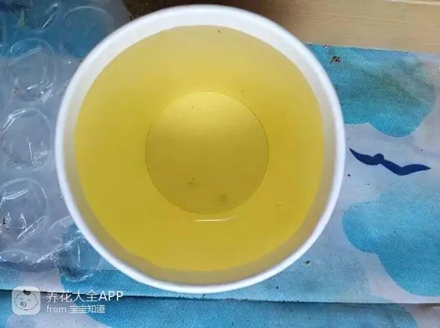 自制作杀虫水_10种自制杀虫水_自制杀虫水治蔬菜