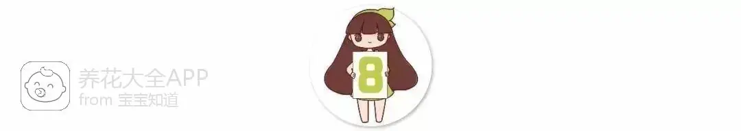 自制杀虫水治蔬菜_10种自制杀虫水_自制作杀虫水