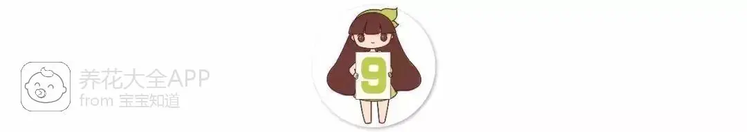 自制作杀虫水_自制杀虫水治蔬菜_10种自制杀虫水