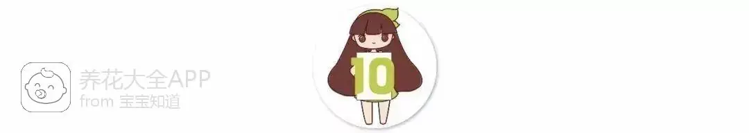 自制杀虫水治蔬菜_自制作杀虫水_10种自制杀虫水