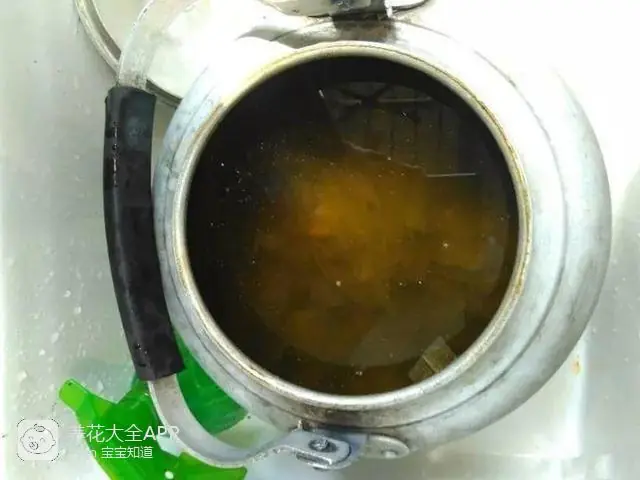 10种自制杀虫水_自制作杀虫水_自制杀虫水治蔬菜