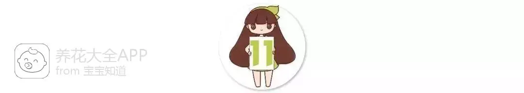 自制杀虫水治蔬菜_10种自制杀虫水_自制作杀虫水