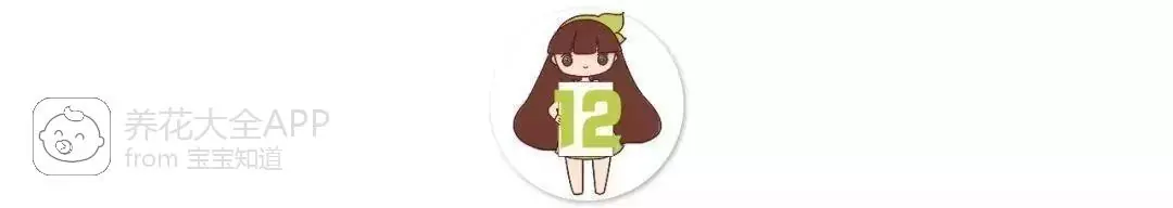 自制杀虫水治蔬菜_自制作杀虫水_10种自制杀虫水