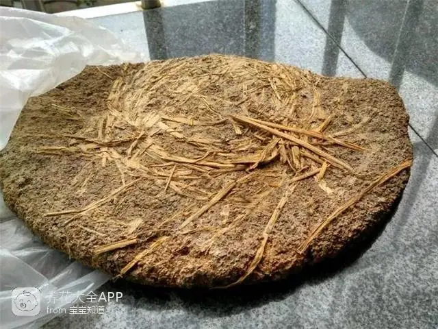 自制作杀虫水_10种自制杀虫水_自制杀虫水治蔬菜