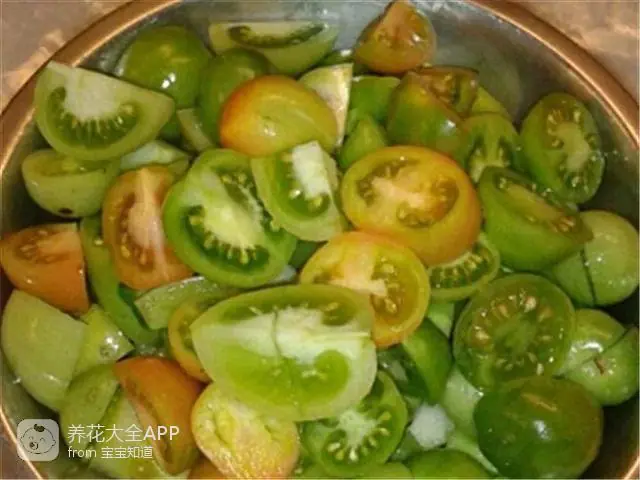 10种自制杀虫水_自制作杀虫水_自制杀虫水治蔬菜