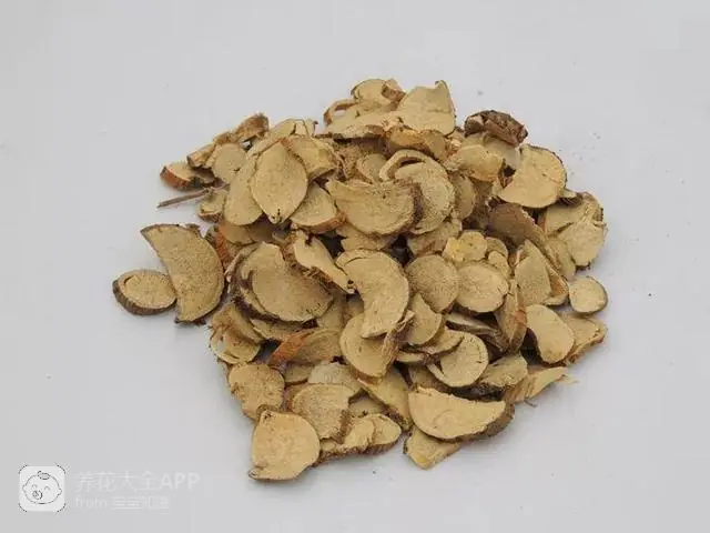 自制作杀虫水_10种自制杀虫水_自制杀虫水治蔬菜