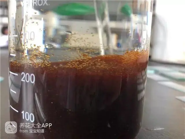 10种自制杀虫水_自制杀虫水治蔬菜_自制作杀虫水