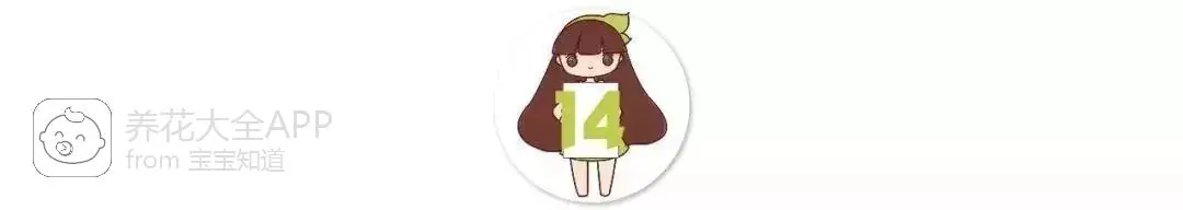 10种自制杀虫水_自制作杀虫水_自制杀虫水治蔬菜