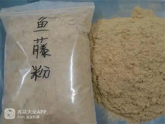 自制作杀虫水_自制杀虫水治蔬菜_10种自制杀虫水