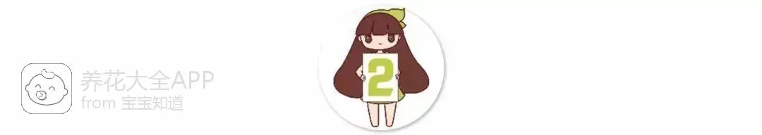 自制作杀虫水_自制杀虫水治蔬菜_10种自制杀虫水