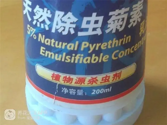 自制杀虫水治蔬菜_10种自制杀虫水_自制作杀虫水