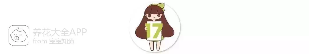 10种自制杀虫水_自制作杀虫水_自制杀虫水治蔬菜