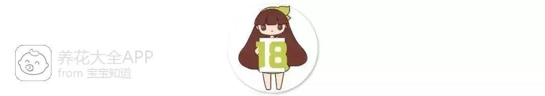 自制杀虫水治蔬菜_10种自制杀虫水_自制作杀虫水