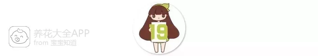 自制杀虫水治蔬菜_自制作杀虫水_10种自制杀虫水