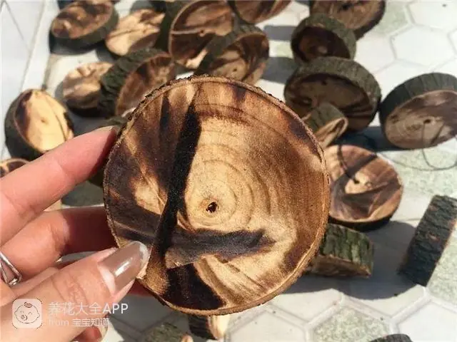 自制杀虫水治蔬菜_自制作杀虫水_10种自制杀虫水