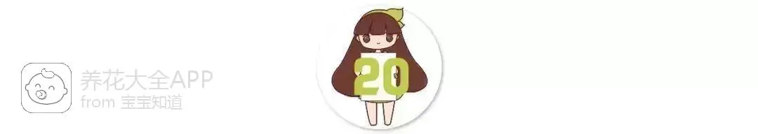 自制杀虫水治蔬菜_10种自制杀虫水_自制作杀虫水