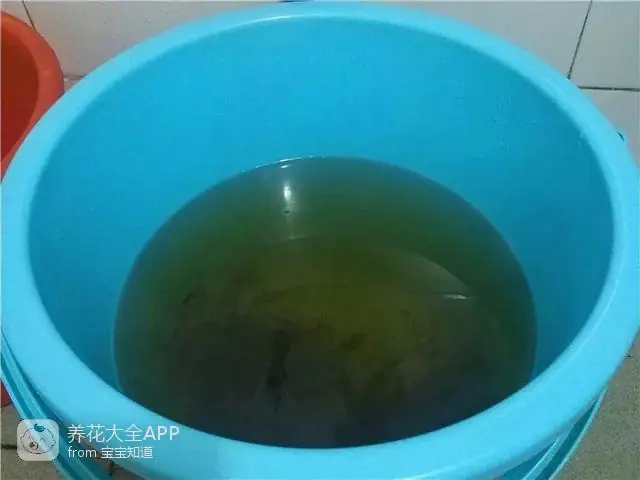 10种自制杀虫水_自制作杀虫水_自制杀虫水治蔬菜