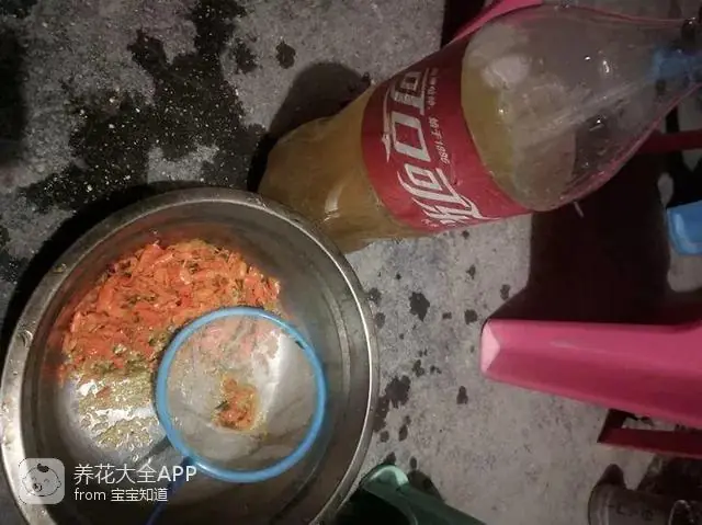 自制作杀虫水_自制杀虫水治蔬菜_10种自制杀虫水