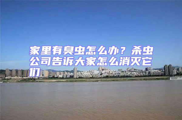 家里有臭虫怎么办?杀虫公司告诉大家怎么消灭它们