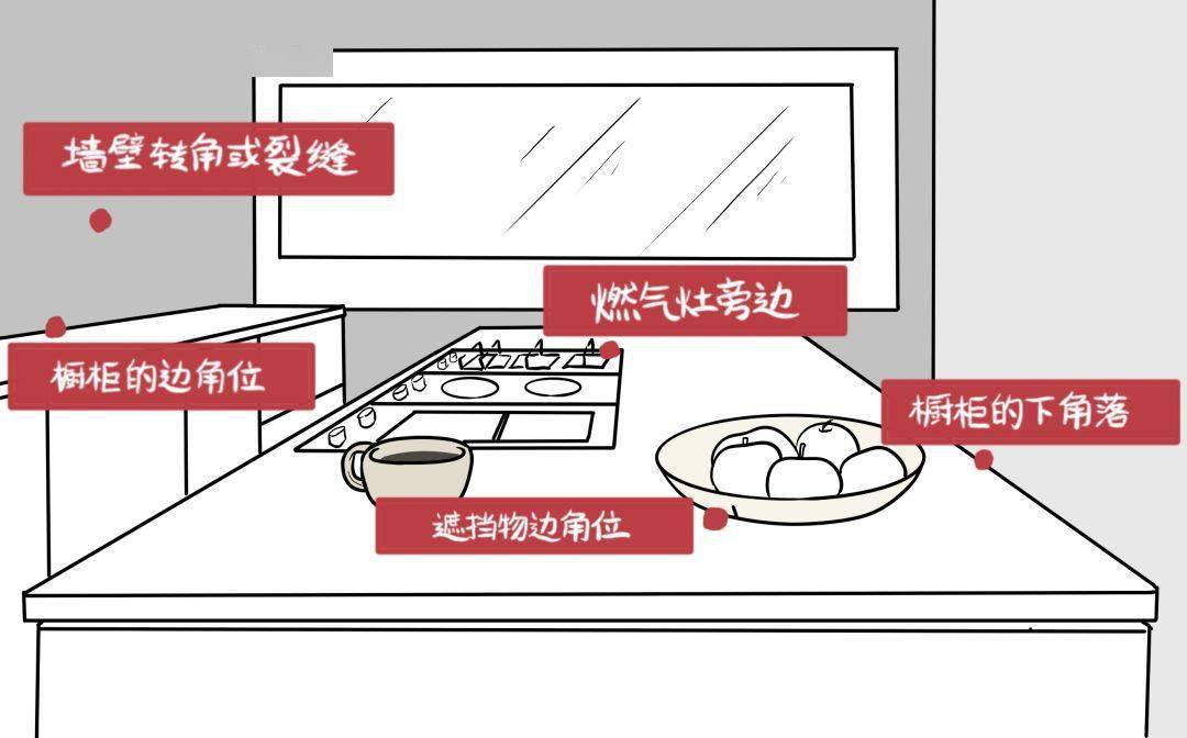 灭蟑螂最有效的药_灭蟑螂药有毒吗_蟑螂灭虫药