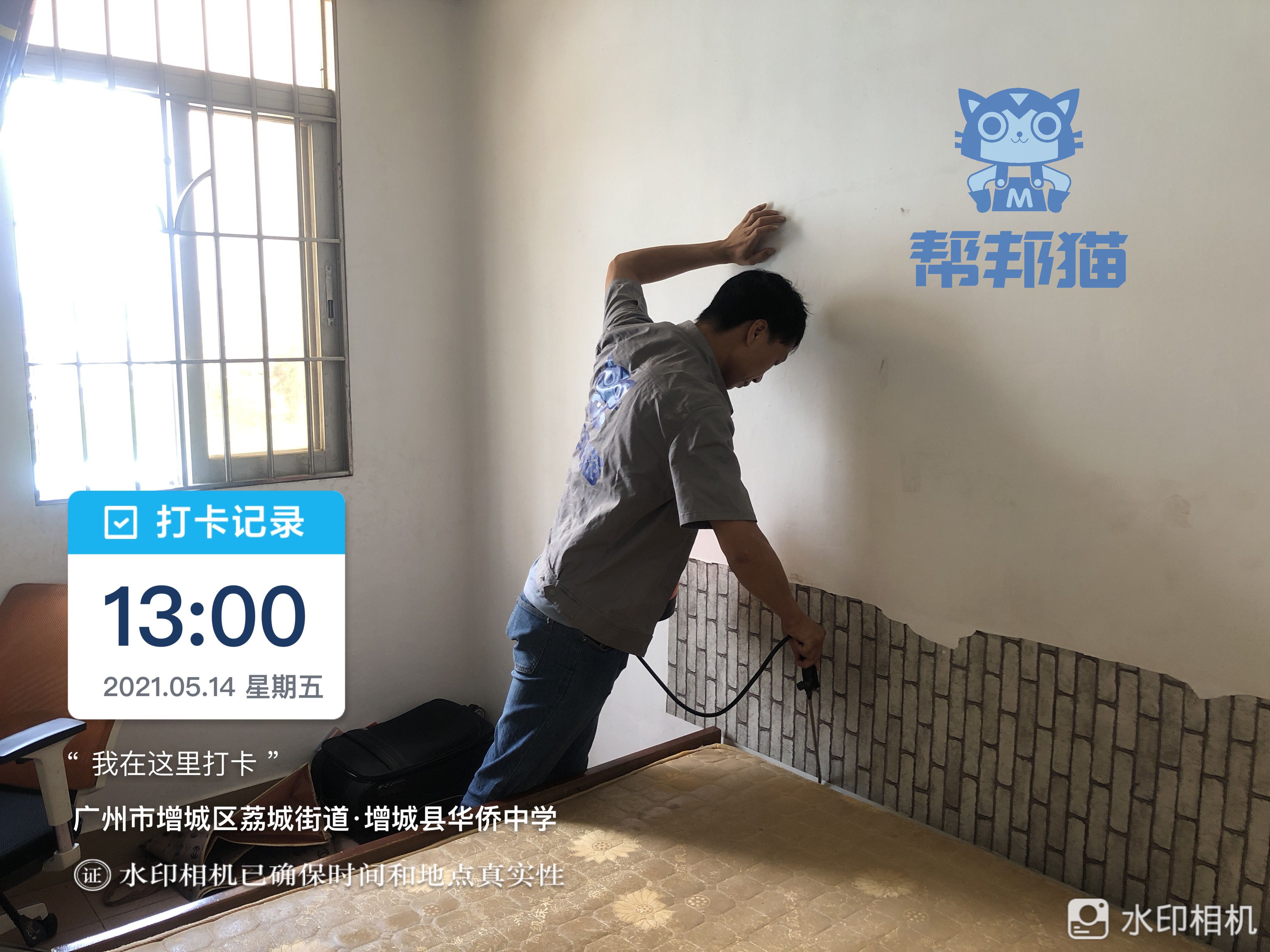 灭杀跳蚤小妙招