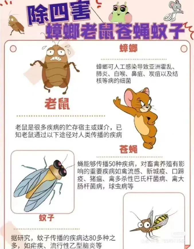 灭苍蝇服务_灭苍蝇宣传_苍蝇治理