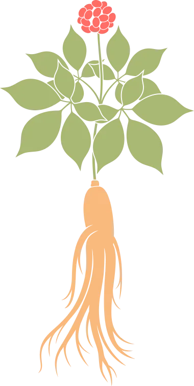 苍蝇治理_灭苍蝇服务_灭苍蝇宣传