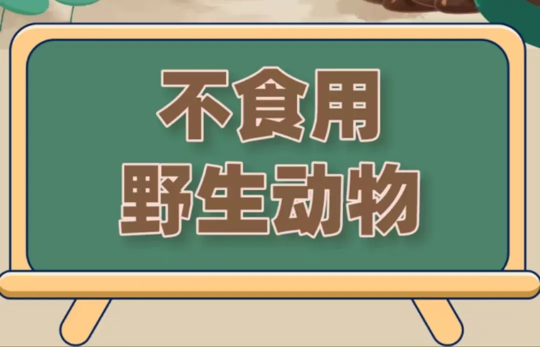 苍蝇治理_灭苍蝇服务_灭苍蝇宣传