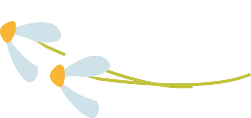 灭苍蝇宣传_苍蝇治理_灭苍蝇服务