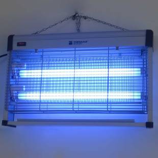 土方灭蚊小妙招_土法灭蚊子法_灭蚊子最有效的土方法