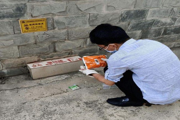 老鼠灭药有效期多久_灭老鼠最有效的药_老鼠灭药有效时间多长