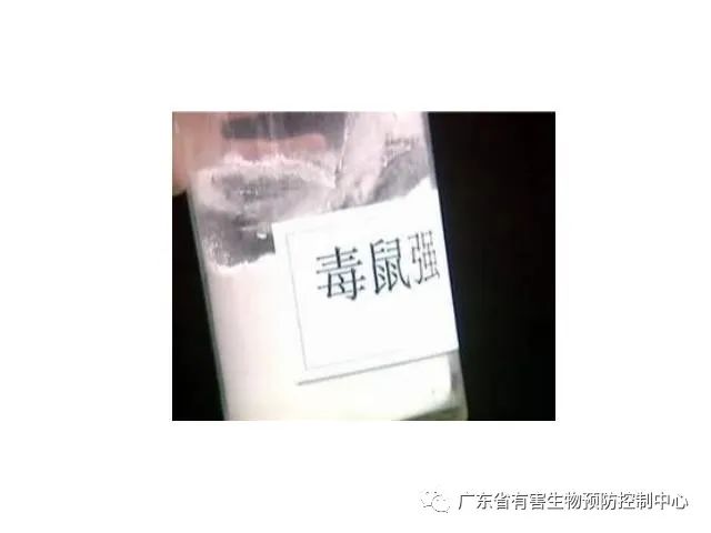 灭老鼠的药特效药_老鼠灭药有效期多久_灭老鼠最有效的药